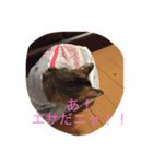 チビ子の1日（個別スタンプ：7）