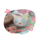 こにゃこたち（個別スタンプ：6）