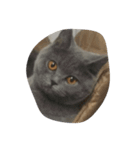 menma cat（個別スタンプ：2）