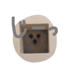 我が家のどうぶつたち（個別スタンプ：2）