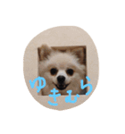 我が家のどうぶつたち（個別スタンプ：6）