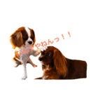東さん家のキャバさん（個別スタンプ：3）