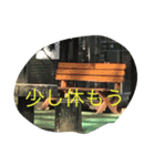日常のアレでスタンプ（個別スタンプ：8）