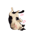 るーたんとあーにゃん（個別スタンプ：2）