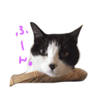 るーたんとあーにゃん（個別スタンプ：3）