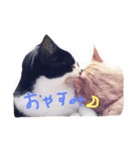 るーたんとあーにゃん（個別スタンプ：8）