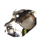 .jga（個別スタンプ：1）