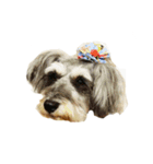 三姉妹犬（個別スタンプ：3）