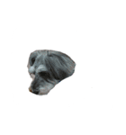 三姉妹犬（個別スタンプ：8）