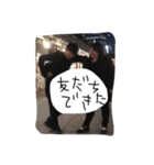 かなり使いやすい日常語録（個別スタンプ：4）