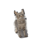 猫町散歩（個別スタンプ：8）