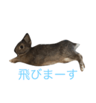 ネザーなうさぎさん01（個別スタンプ：1）