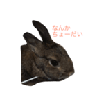 ネザーなうさぎさん01（個別スタンプ：3）