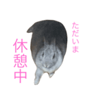 ネザーなうさぎさん01（個別スタンプ：7）