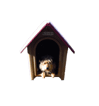 Rickie Stamp（個別スタンプ：6）