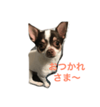 チロル♡（個別スタンプ：2）