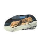 札幌の動物達（個別スタンプ：3）