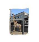 札幌の動物達（個別スタンプ：6）