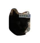 愉快な猫ちゃんたち（個別スタンプ：1）