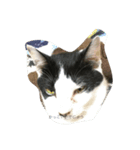 愉快な猫ちゃんたち（個別スタンプ：8）