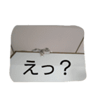 ねこのいち助（個別スタンプ：22）