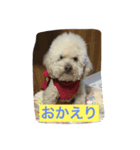 レオくんです（個別スタンプ：2）