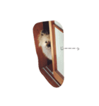 こまみとむぎお（個別スタンプ：6）
