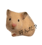 キンタと愉快な仲間達（個別スタンプ：2）
