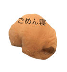 キンタと愉快な仲間達（個別スタンプ：4）