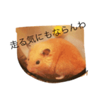 キンタと愉快な仲間達（個別スタンプ：6）