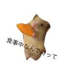 キンタと愉快な仲間達（個別スタンプ：7）