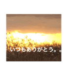 たまにはおセンチになりたい。。（個別スタンプ：11）