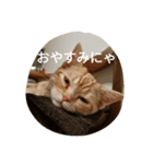 ハルくんの日常（個別スタンプ：4）