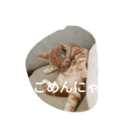 ハルくんの日常（個別スタンプ：5）