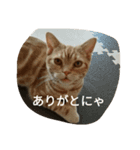 ハルくんの日常（個別スタンプ：6）