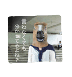 チワワと馬【完璧個人用】（個別スタンプ：5）