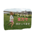 チワワと馬【完璧個人用】（個別スタンプ：7）