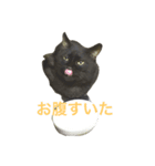 うちんち専用（個別スタンプ：2）