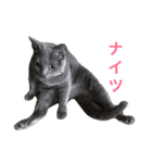 うちんち専用（個別スタンプ：7）