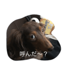 ココアちゃん（個別スタンプ：2）