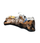 ココアちゃん（個別スタンプ：5）