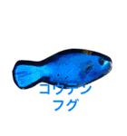沖縄の海と海中の生き物（個別スタンプ：2）