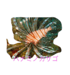 沖縄の海と海中の生き物（個別スタンプ：3）