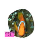 沖縄の海と海中の生き物（個別スタンプ：8）