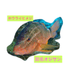 沖縄の海と海中の生き物（個別スタンプ：10）