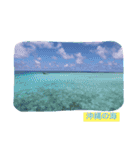 沖縄の海と海中の生き物（個別スタンプ：14）