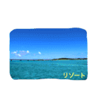 沖縄の海と海中の生き物（個別スタンプ：18）