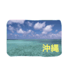 沖縄の海と海中の生き物（個別スタンプ：23）