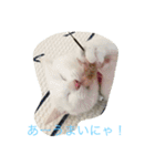 にゃんころべ〜（個別スタンプ：8）