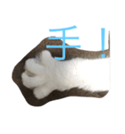 にゃんころべ〜（個別スタンプ：20）